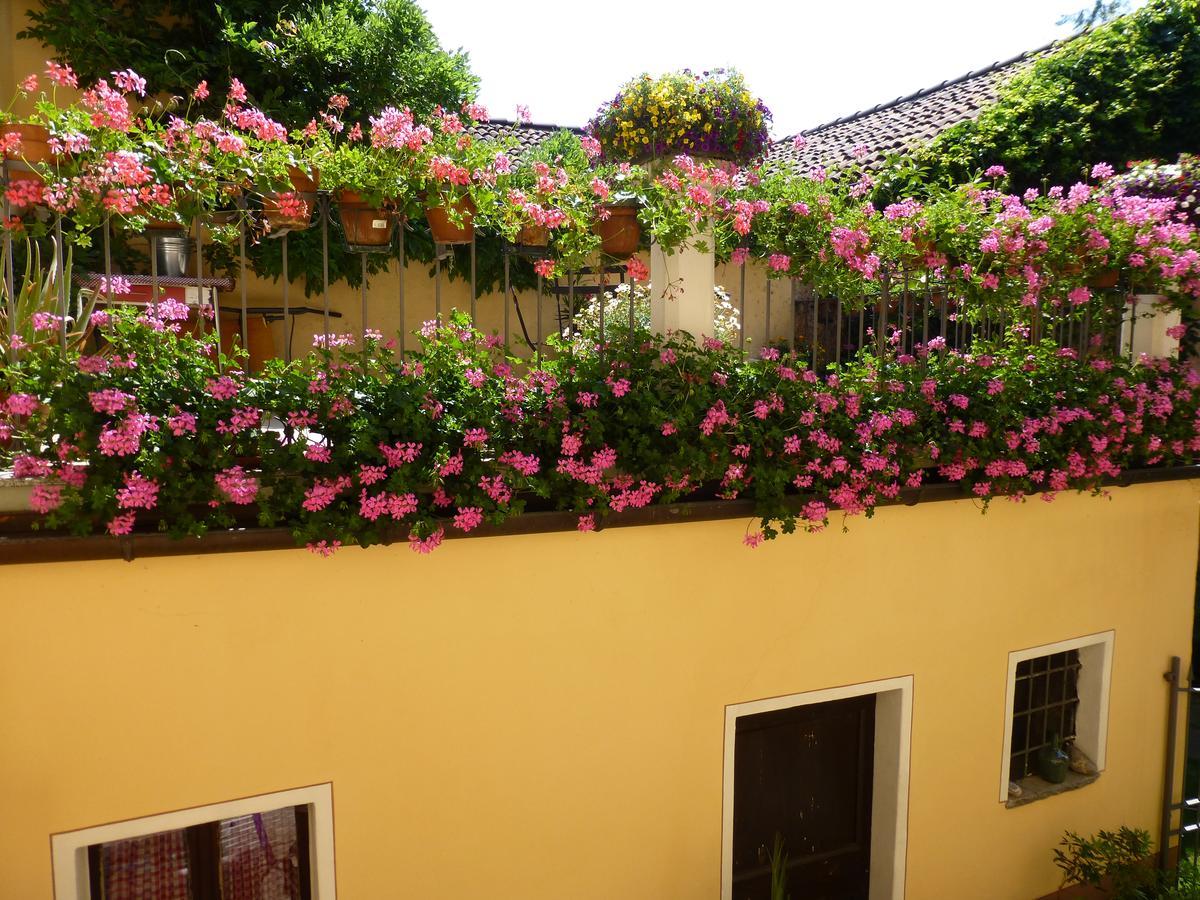 Chez Marianne "Chambres D'Hotes" Astano Bagian luar foto